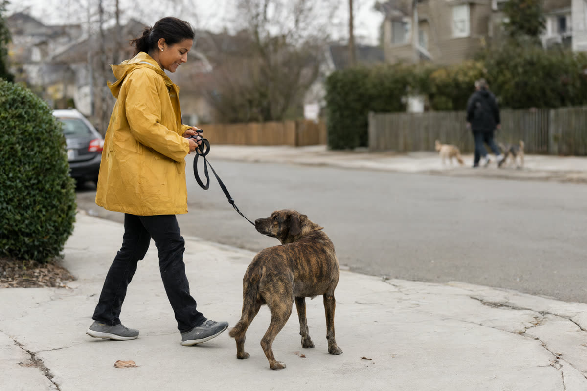 A woman turning away with her dog on a loose leash while another dog passes far behind